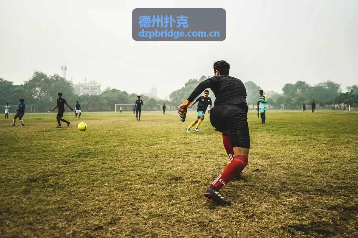 德州扑克牌型概率与公共牌分析